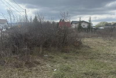 Teren de 1102 mp, în Bănești - 3