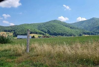 Teren de 5000 mp, în Gura Râului