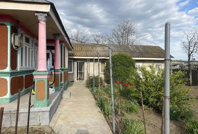 Casă cu Teren 1263 Mp în Valea Mărului - 1
