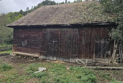 Teren de 800 mp, în Ocolișel - 4