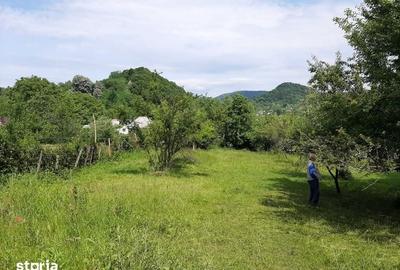 Teren de 2636 mp, în Vâlcea