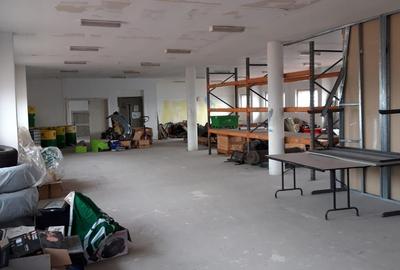 Spațiu industrial, de 500 mp, în Griviței - 3