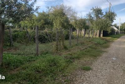 Teren de 1265 mp, în Strunga - 1