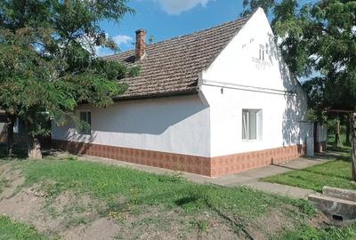 Casă cu Teren 543 Mp în Becicherecu Mic - 1