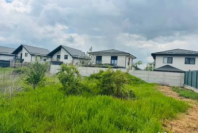 Teren de 300 mp, în Berceni - 1