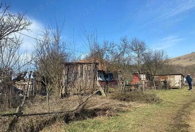 Teren de 5400 mp, în Cămărașu - 4