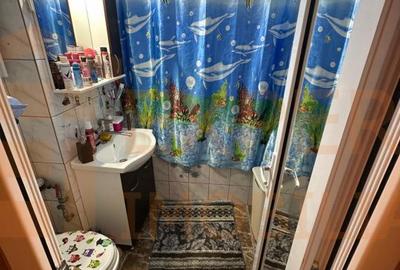 Apartament cu 2 camere decomandat, mobilat în Viile Noi - 4