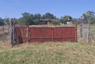 Casă cu Teren 2300 Mp în Răsmirești