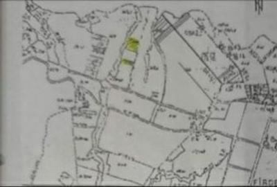 Teren de 11600 mp, în Fârdea - 1