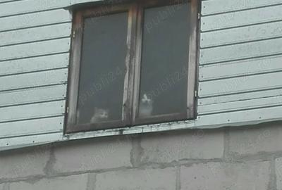 Casă cu 5 camere cu Teren 2100 Mp în Ordoreanu - 9
