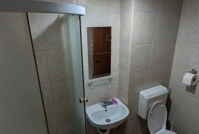 Garsonieră, mobilată în Lujerului - 11
