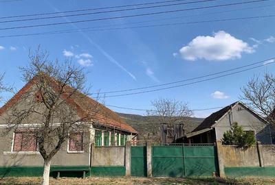Casă cu 3 camere în Cuvin