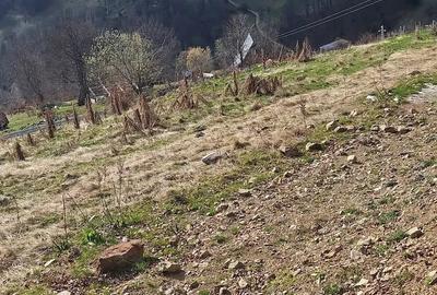 Teren de 700 mp, în Petros - 3