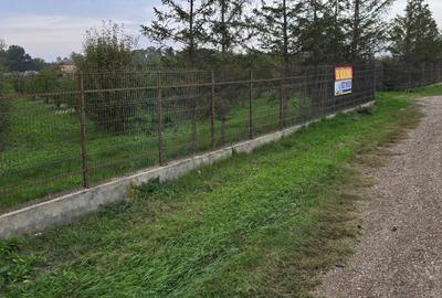 Teren agricol extravilan de 18000 mp, în Boțârlău - 1