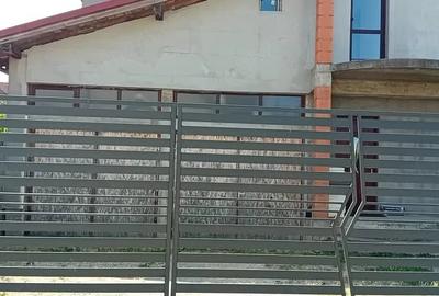 Spațiu comercial, de 50 mp, în Nufărul