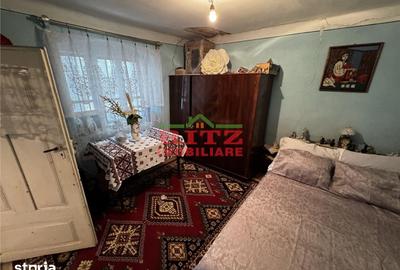 Casă cu 4 camere cu Teren 2437 Mp în Osica de Sus - 3