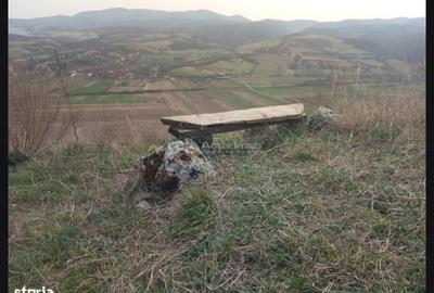 Casă cu 3 camere cu Teren 609 Mp în Uileacu de Beiuș - 5