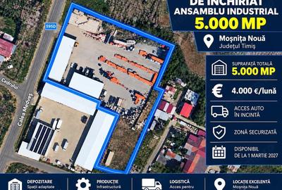 Spațiu comercial, de 5,000 mp, în Moșnița Nouă