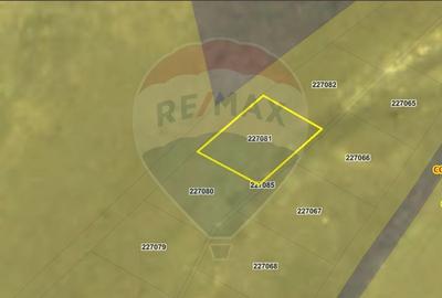 Teren de 235 mp, în Palazu Mare
