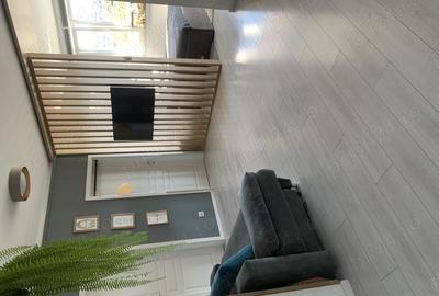 Apartament cu 2 camere semidecomandat în Borhanci - 5