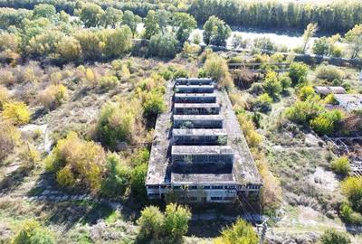 Teren Construcții intravilan de 88790 mp, în Șendreni - 2