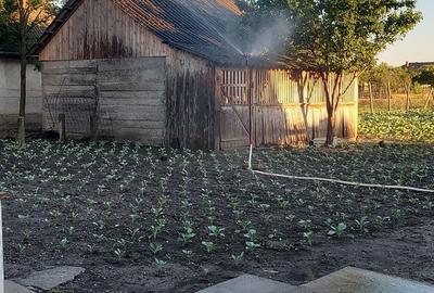 Casă cu 4 camere în Șimand - 6