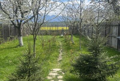 Casă cu 3 camere în Tohanu Nou - 1