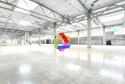 Spațiu industrial, de 6,000 mp, în Astra