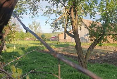 Casă cu 3 camere cu Teren 2600 Mp în Brădeni