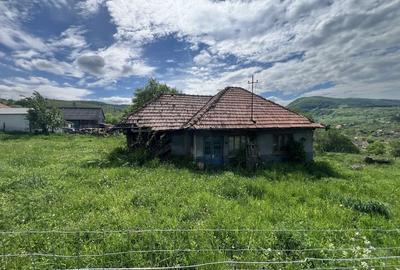 Teren de 1260 mp, în Agârbiciu - 6