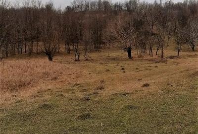 Teren agricol extravilan de 9826 mp, în Aluniș - 5