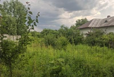 Spațiu comercial, în Boldești - 3