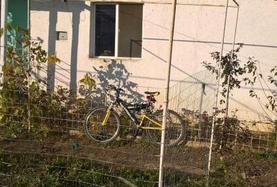 Casă cu 3 camere cu Teren 5002 Mp în Butimanu - 4