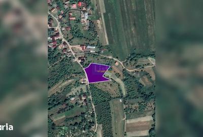 Teren de 5323 mp, în Josenii Bârgăului