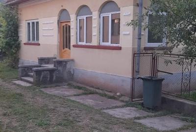 Casă cu 2 camere cu Teren 1567 Mp în Băița - 6