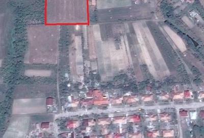 Teren de 5000 mp, în Central