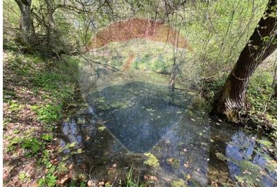 Casă individuală cu 2 camere cu Canalizare în Vărmaga - 12