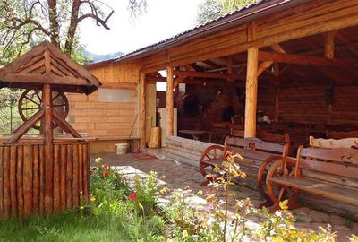 Apartament cu 2 camere decomandat, mobilat în Brașovul Vechi - 6