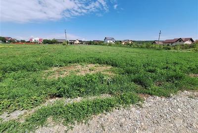 Teren Construcții intravilan de 3177 mp, în Șerbănești - 1