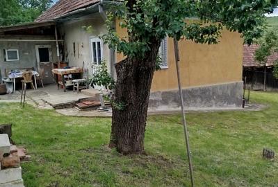 Casă cu 2 camere în Mociu