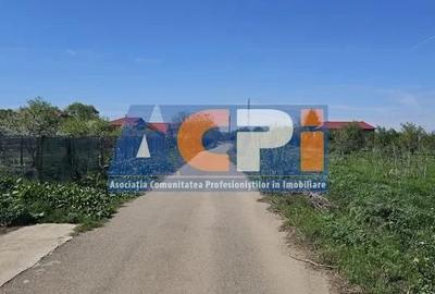 Teren de 850 mp, în Mihăilești