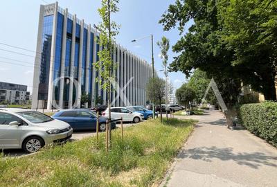 Apartament cu 2 camere nedecomandat, mobilat în Take Ionescu - 14