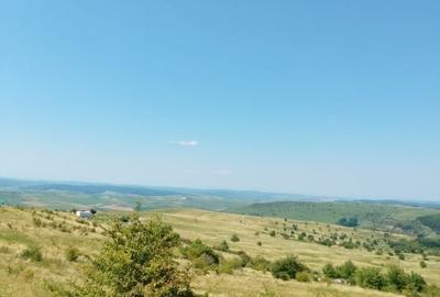 Teren agricol intravilan de 450 mp, în Chinteni - 2