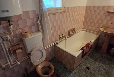 Casă cu 4 camere cu Teren 1440 Mp în Vetiș