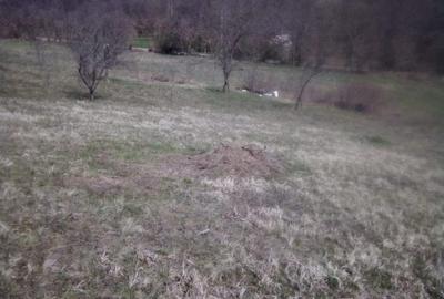 Teren agricol extravilan de 27500 mp, în Geoagiu-Băi - 5