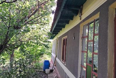 Casă cu 4 camere cu Teren 1280 Mp în Sinești - 3