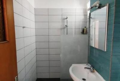 Apartament cu 3 camere decomandat, mobilat în Dristor - 5
