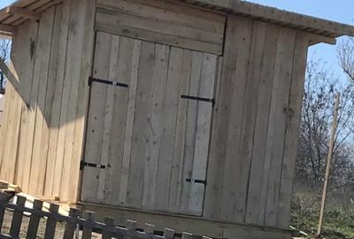 Teren de 1000 mp, în Bucium