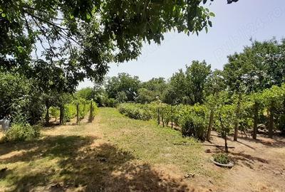 Casă cu 3 camere în Frumușani