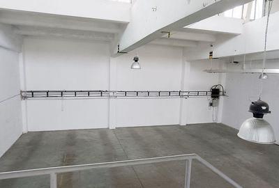 Spațiu comercial, de 320 mp, în Est - 4